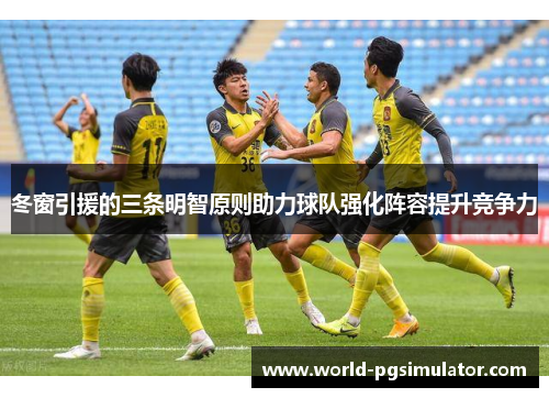 冬窗引援的三条明智原则助力球队强化阵容提升竞争力