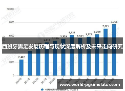 西班牙男足发展历程与现状深度解析及未来走向研究