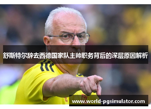 舒斯特尔辞去西德国家队主帅职务背后的深层原因解析